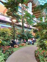 DISCOVER THIS GREEN GEM IN HAMAD INTERNATIONAL AIRPORT