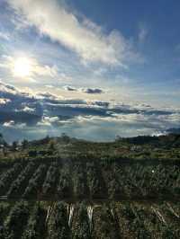 Between Heaven and Earth