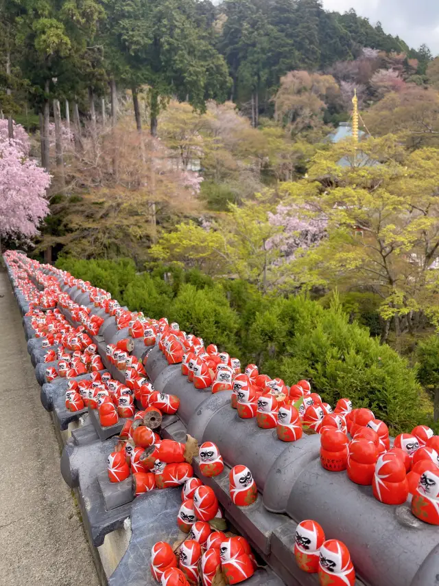 大阪-勝尾寺