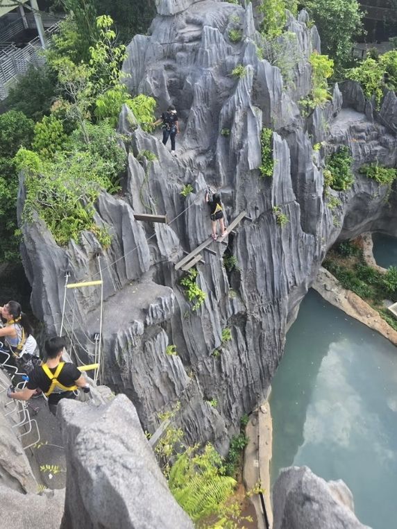 Into the Wild: Exploring Singapore’s Rainforest Wild Asia