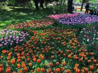 進入了童話世界般的絶世公園