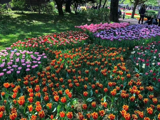 進入了童話世界般的絶世公園