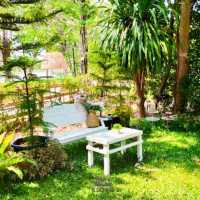 🌳 เเพียงธารา คาเฟ่ แอนด์ รีสอร์ท