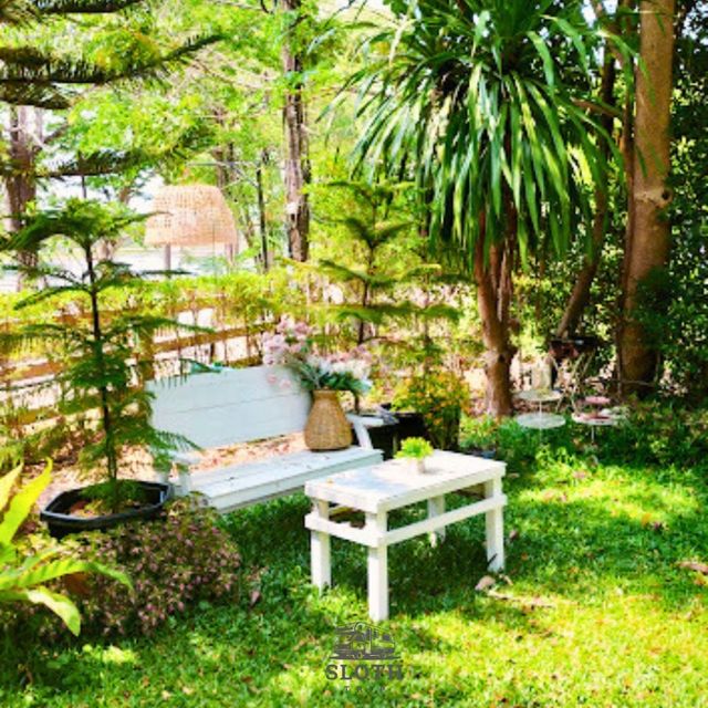 🌳 เเพียงธารา คาเฟ่ แอนด์ รีสอร์ท