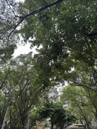 台北｜公園一日遊指南