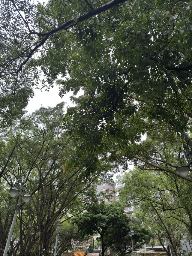 台北｜公園一日遊指南