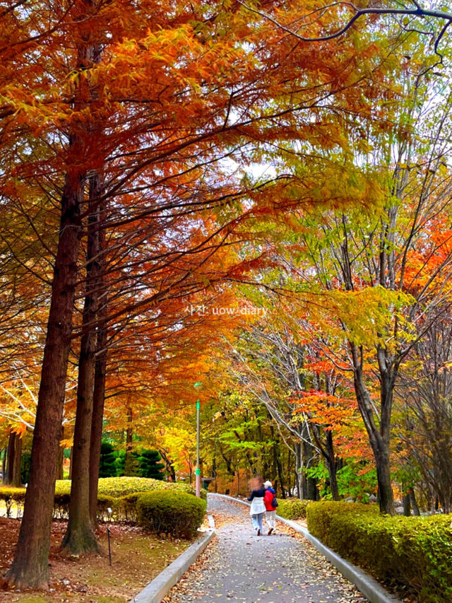 봄은 피크닉의 계절! 부산 및 근교 피크닉 공원 여행코스 🌱