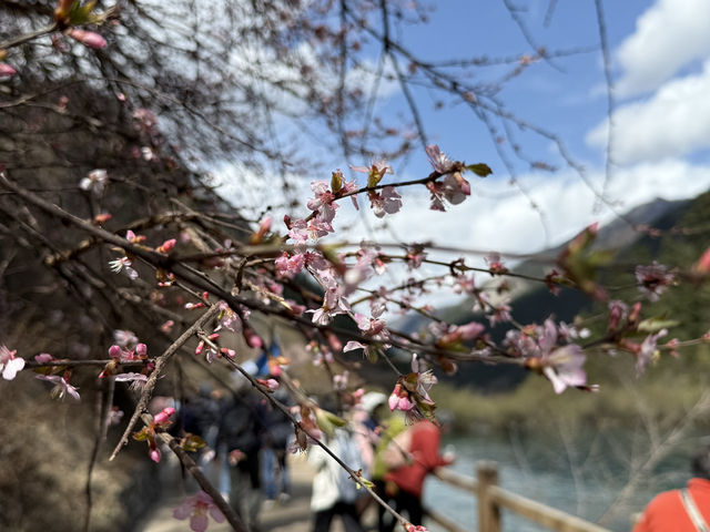 세상에 이런 곳이 있었다니