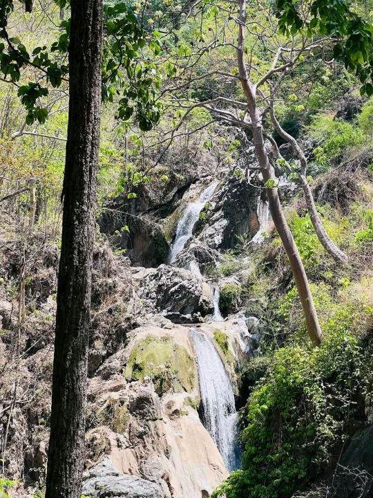 อุทยานแห่งชาติลานสาง
