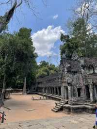 🇰🇭 Ta Prohm: The Angelina Jolie Temple