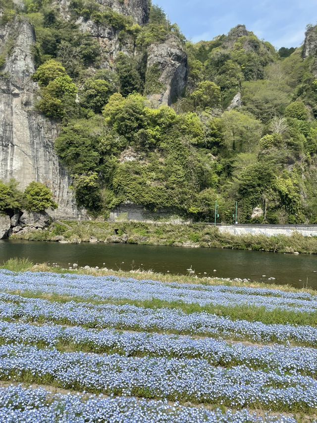 大分穴場スポット⭐️