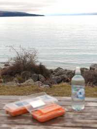 紐西蘭南島🐟Mt Cook三文魚刺身🧡邊歎三文魚邊睇壯麗雪山