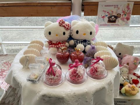 🇯🇵【兵庫県】キティ好きにはたまらない！「HELLO KITTY SHOW BOX