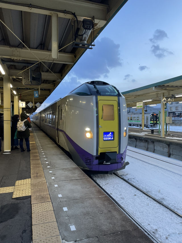 【北海道】札幌まで結構すぐに行けるかつての要衝・新得駅