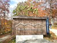 【白馬村】自然を堪能したいならここ行って！