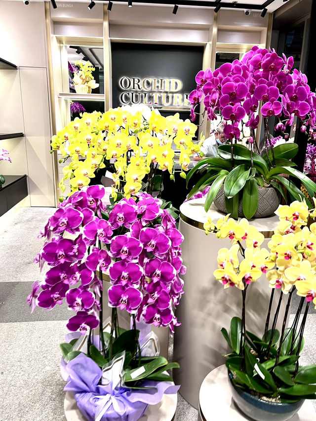 Orchid Culture: A Fragrant Haven for Orchid Enthusiasts