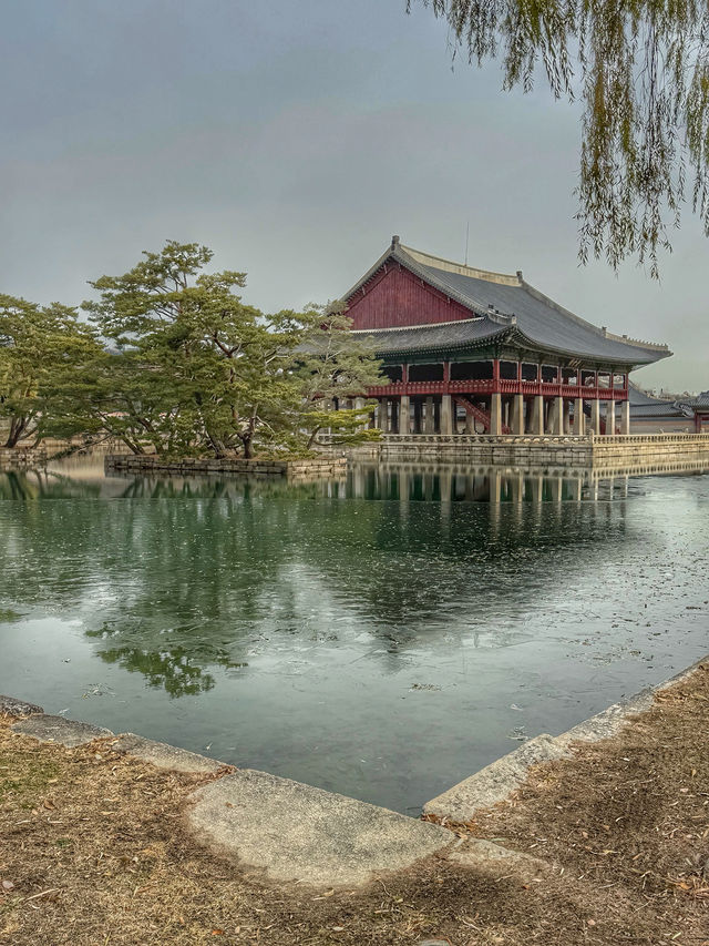 A Royal Winter Stroll: Discovering Gyeongbokgung Palace in December
