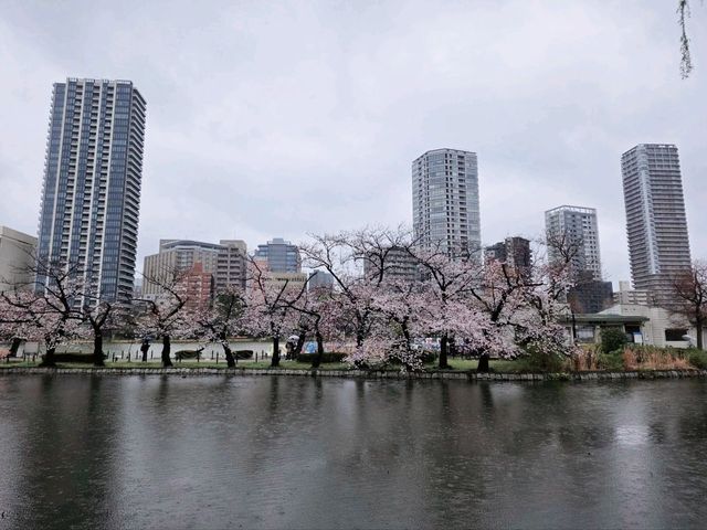 Vibrant Seasons and Culture at Ueno Park