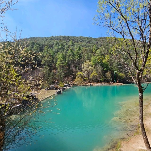 Blue Moon Valley
