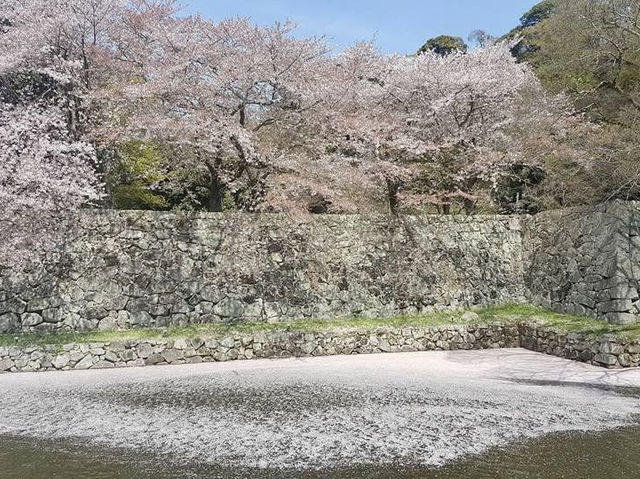 古城彥根一日遊