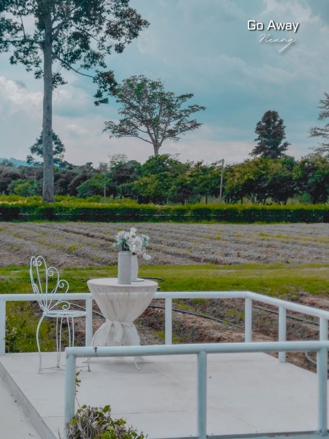 Bliss & Bloom Cafe 