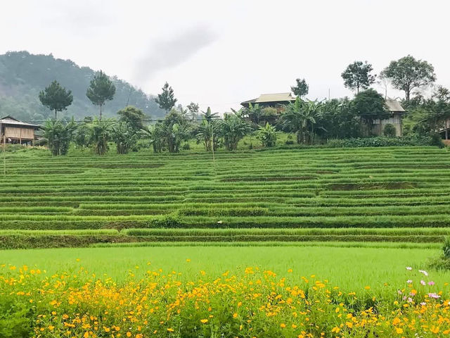 TRẠM TẤU