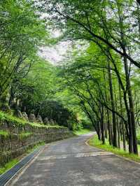 A Quirky Escape to Sangso-dong Forest Bathing Area