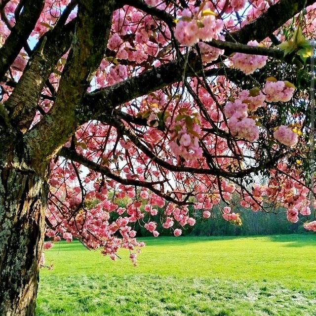 Parc de Sceaux — Paris, France