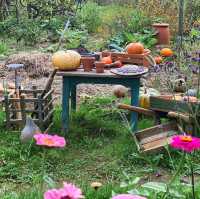 Touch of Movie Magic – Hobbiton Delight