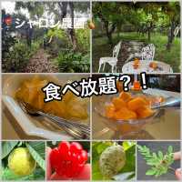 与論で満喫！満腹❣️