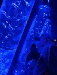 【銀座的夢幻秘境！藝術與水族的奇幻融合體驗🐠✨】