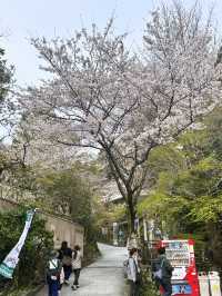 【福岡県篠栗町】春の南蔵院