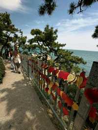 Busan: Ocean Breeze, Mountain Calm, and a Dash of City Pulse