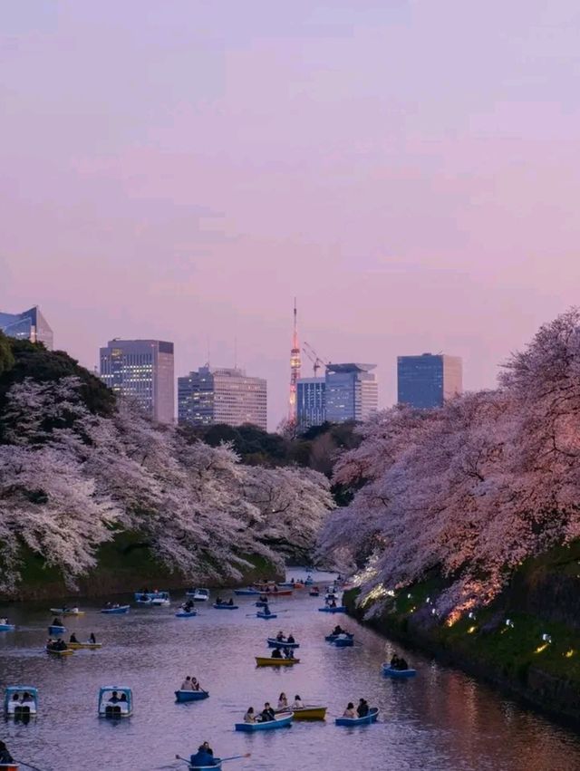 Utsunomiya Unwrapped – Gyoza, Jazz & Gateway to Nature