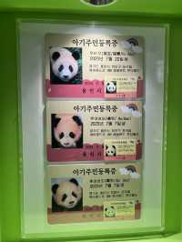 🇰🇷韓國必去愛寶樂園🐼把握近期旅展買一送一