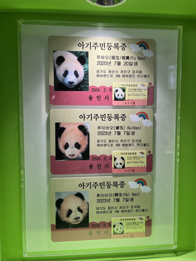 🇰🇷韓國必去愛寶樂園🐼把握近期旅展買一送一