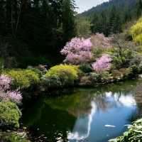 Butchart Gardens – A Floral Wonderland in British Columbia