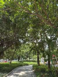 香港｜香港單車館公園｜深度遊的綠意與花海秘境