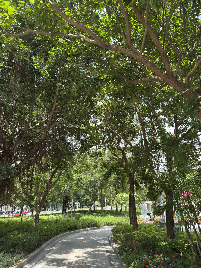 香港｜香港單車館公園｜深度遊的綠意與花海秘境