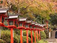 Spring and blossom in Kifune