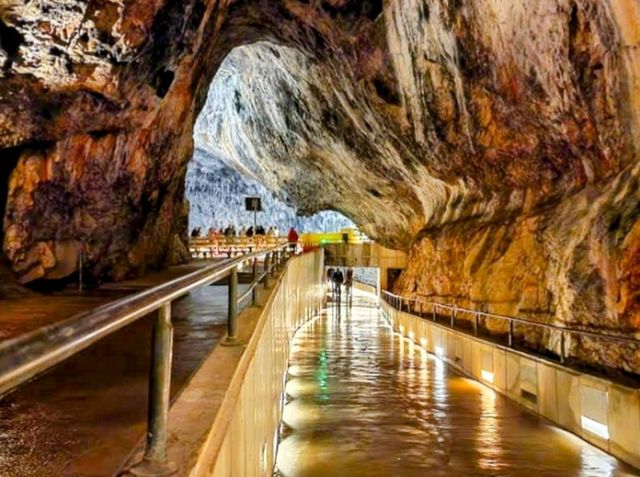 斯洛維尼亞 | 搭小火車輕鬆看鐘乳石洞---波斯托伊納溶洞 Postojna Caves