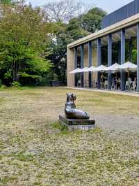 A Day of Art & Blossoms in Meguro – Garden Views & Golden Moments