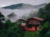 ฝนนี้เที่ยวน่าน…ไปนอนบ้านน้านีย์กันไหม🌿