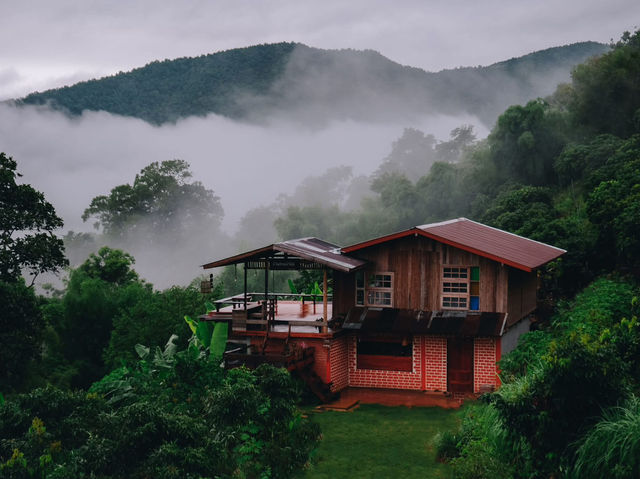 ฝนนี้เที่ยวน่าน…ไปนอนบ้านน้านีย์กันไหม🌿