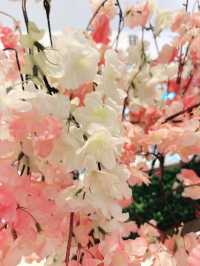 Petals and Prayers at Mitake Temple