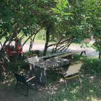 กาแฟบ้านดิน Bandin Coffee สันทราย เชียงใหม่
