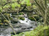 Nagano’s Hidden Blossom Treasure: Takato Castle Ruins