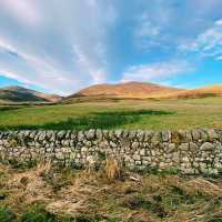 🏴󠁧󠁢󠁳󠁣󠁴󠁿 エディンバラ郊外の森を抜けて…🌲🐑