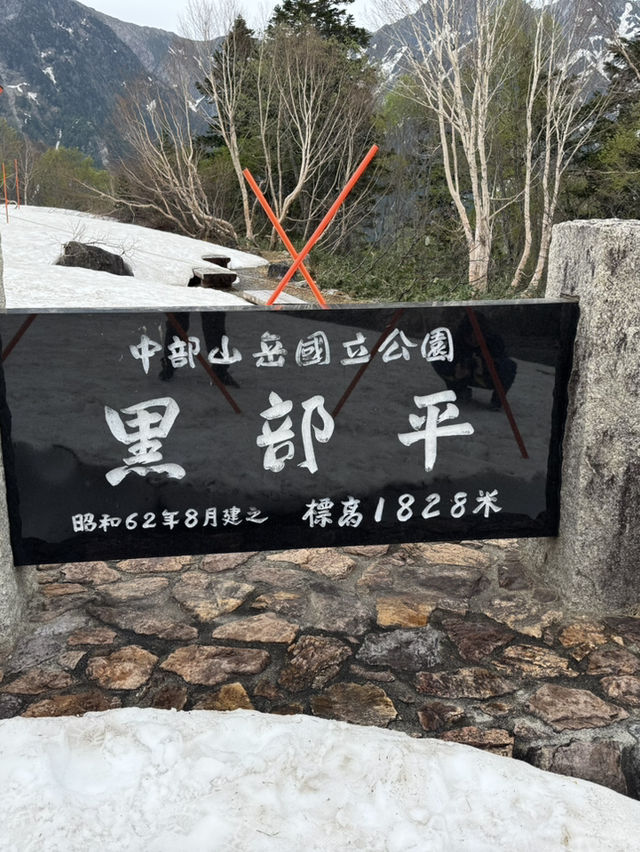 名古屋、下呂市、飛驒高山及更多地區的8日行程