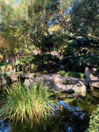 Adelaide what an amazing city!